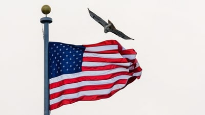 Cato Institute's white paper says only 3% applicants are likely to get green card in 2024 in United States. (AFP) Cato Institute's white paper says only 3% applicants are likely to get green card in 2024 in United States. (AFP)