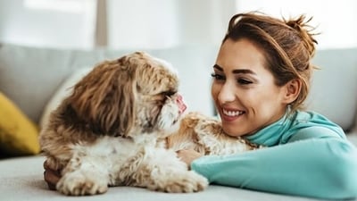 Your Pet Day, make sure to spend quality time with them (Freepik) Your Pet Day, make sure to spend quality time with them (Freepik)