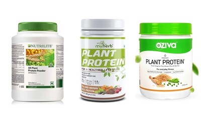 Plant based protein powders are a wholesome choice for health-conscious and eco-friendly lifestyles Plant based protein powders are a wholesome choice for health-conscious and eco-friendly lifestyles