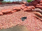 On reports of lifting of the export ban on the commodity, the modal wholesale onion prices shot up 40.62 per cent to  <span class='webrupee'>₹</span>1,800 per quintal on February 19 in Lasalgoan, the country's largest wholesale onion market, from  <span class='webrupee'>₹</span>1,280 per quintal on February 17.