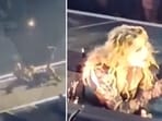 Madonna fell off a chair while performing in Seattle (TMZ screenshot, @CollinRugg/X)