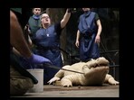 Snapshot of the alligator on whom the doctors operated. Snapshot of the alligator on whom the doctors operated.
