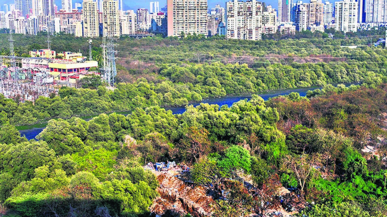 Centre has no details of panel report on deemed forests: RTI - Vimarsana News