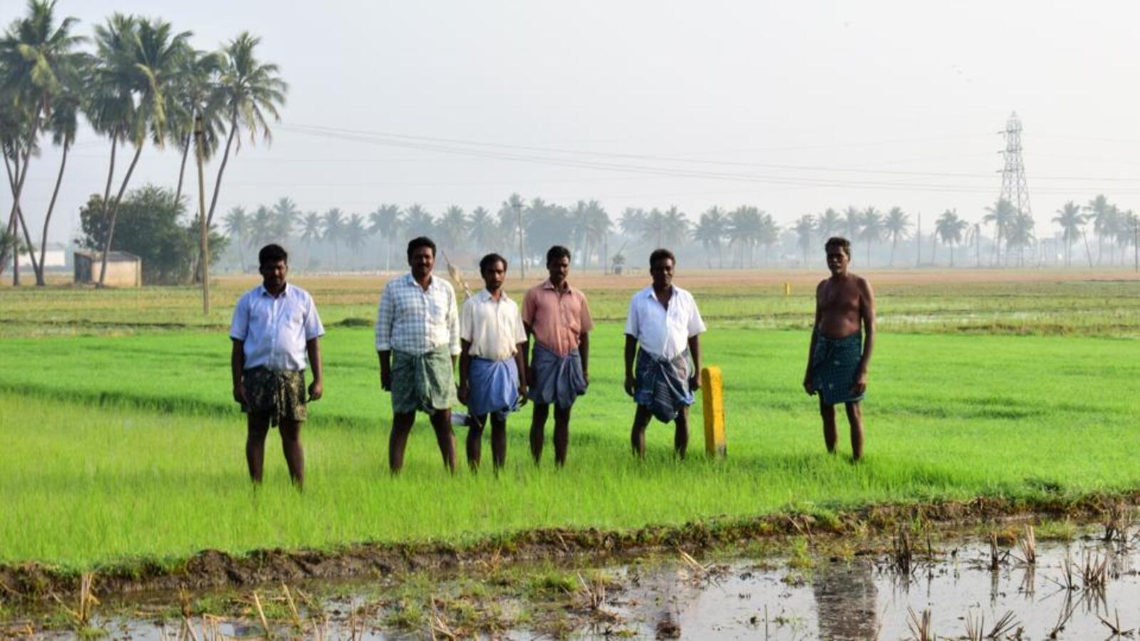 Tamil Nadu unveils scheme for chemical-free practices - Vimarsana News