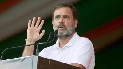 Congress leader Rahul Gandhi. (HT File) Congress leader Rahul Gandhi. (HT File)