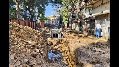 Mumbai, India. Feb 19,2024 - Residents of Vileparle have complained to BMC, mosquitos in their area due to BMC road repair at Nehru Road in Vileparle east. Feb 19,2024. (Photo by) (Raju Shinde/HT Photo) Mumbai, India. Feb 19,2024 - Residents of Vileparle have complained to BMC, mosquitos in their area due to BMC road repair at Nehru Road in Vileparle east. Feb 19,2024. (Photo by) (Raju Shinde/HT Photo)