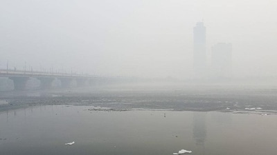 Three class 10 students drowned in the Yamuna river near the Burari area