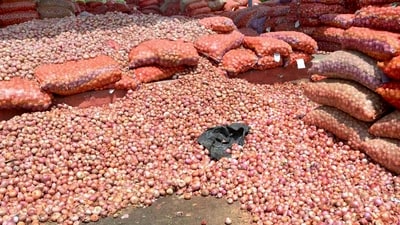 On reports of lifting of the export ban on the commodity, the modal wholesale onion prices shot up 40.62 per cent to ₹1,800 per quintal on February 19 in Lasalgoan, the country's largest wholesale onion market, from ₹1,280 per quintal on February 17. On reports of lifting of the export ban on the commodity, the modal wholesale onion prices shot up 40.62 per cent to ₹1,800 per quintal on February 19 in Lasalgoan, the country's largest wholesale onion market, from ₹1,280 per quintal on February 17.