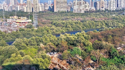 The Union environment ministry does not have details of the state expert committee reports which identified so-called deemed forests in every state, RTI says. (HT Archive)
