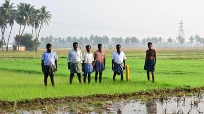 The state government said, ₹14.55 crore has been disbursed to 9,988 farmers of Thoothukudi for the crop loss (HT) The state government said, ₹14.55 crore has been disbursed to 9,988 farmers of Thoothukudi for the crop loss (HT)