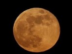 Full Moon in Virgo 2024: Astrological predictions for all the twelve zodiac signs. Full Moon in Virgo 2024: Astrological predictions for all the twelve zodiac signs.
