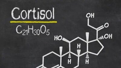 High or low levels of cortisol in the body can lead to certain stress responses. "Why the difference in symptoms? It depends on which stage of adrenal dysfunction that you are experiencing," wrote Naturopathic Doctor Corina Dunlap. Here are four stages of adrenal dysfunction that the body experiences. (Unsplash) High or low levels of cortisol in the body can lead to certain stress responses. "Why the difference in symptoms? It depends on which stage of adrenal dysfunction that you are experiencing," wrote Naturopathic Doctor Corina Dunlap. Here are four stages of adrenal dysfunction that the body experiences. (Unsplash)