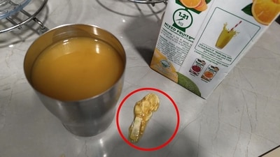 Mould that the Reddit user found in a packet of Tropicana juice. (Reddit/@ordinarycymatics) Mould that the Reddit user found in a packet of Tropicana juice. (Reddit/@ordinarycymatics)