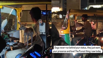 Bengaluru: Man riding the auto with the dog in his lap. (Instagram/@pawful.world) Bengaluru: Man riding the auto with the dog in his lap. (Instagram/@pawful.world)