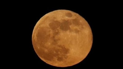 Full Moon in Virgo 2024: Astrological predictions for all the twelve zodiac signs. (Reuters File) Full Moon in Virgo 2024: Astrological predictions for all the twelve zodiac signs. (Reuters File)
