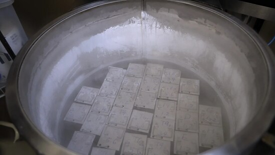 A container holding frozen embroys and sperms (AP )