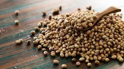 Coriander seeds can be soaked overnight in water and the strained water can be consumed in the morning. It also helps in reducing the burning sensation during urination. (Unsplash) Coriander seeds can be soaked overnight in water and the strained water can be consumed in the morning. It also helps in reducing the burning sensation during urination. (Unsplash)
