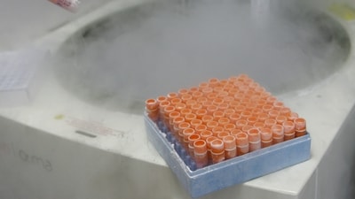 (FILES) A scientific researcher handles frozen embryonic stem cells in a laboratory, at the University of Sao Paulo's human genome research center, in Sao Paulo, Brazil, on March 4, 2008. (AFP) (FILES) A scientific researcher handles frozen embryonic stem cells in a laboratory, at the University of Sao Paulo's human genome research center, in Sao Paulo, Brazil, on March 4, 2008. (AFP)