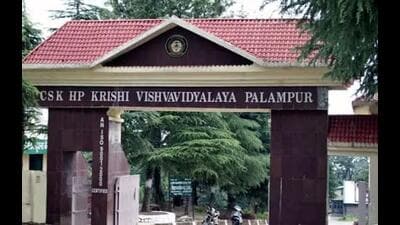 Chaudhary Sarwan Kumar Himachal Pradesh Krishi Vishvavidyalaya has four constituent colleges at present . (HT File)