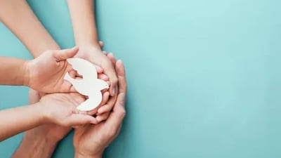 World Peace and Understanding Day 2024: Date, history and significance (Unsplash) World Peace and Understanding Day 2024: Date, history and significance (Unsplash)
