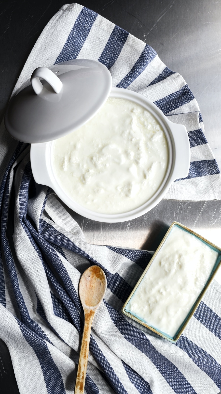 yoghurt_curd