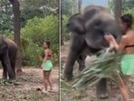 The image shows an elephant attacking a woman. The image shows an elephant attacking a woman.