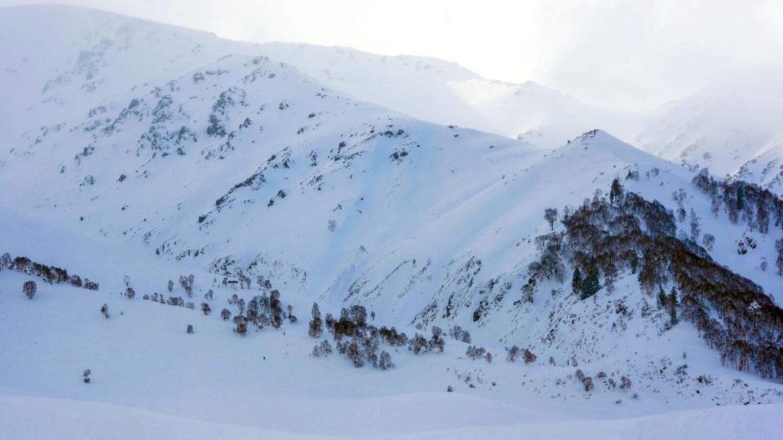 Western Himalayan region likely to get fresh rain, snow next week - Vimarsana News