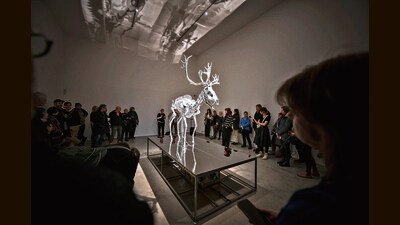 At the Kafkaesque exhibition, the life-sized, animatronic Stag In Silico by British artist Mat Collishaw slips, slides, and falls on its platform, in response to the intensity of abuse directed at selected individuals on X. At the Kafkaesque exhibition, the life-sized, animatronic Stag In Silico by British artist Mat Collishaw slips, slides, and falls on its platform, in response to the intensity of abuse directed at selected individuals on X.