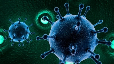 Each year, there are around 109,000 hospitalisations and 900 deaths attributed to norovirus, primarily affecting older adults. (Representational Image) Each year, there are around 109,000 hospitalisations and 900 deaths attributed to norovirus, primarily affecting older adults. (Representational Image)