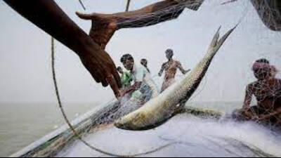 Departments concerned may issue long-pending orders before the Lok Sabha elections, clearing the decks for fishermen to avail of all those benefits that are available to farmers in the state that produces around 9-10 lakh MT of fish annually. (Pic for representation) Departments concerned may issue long-pending orders before the Lok Sabha elections, clearing the decks for fishermen to avail of all those benefits that are available to farmers in the state that produces around 9-10 lakh MT of fish annually. (Pic for representation)