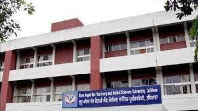 IFFA coordinator Vaneet Inder Kaur shared that 57 fish farmers attended the meeting. (HT File Photo) IFFA coordinator Vaneet Inder Kaur shared that 57 fish farmers attended the meeting. (HT File Photo)