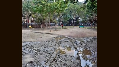 Sanjeev Kumar, general secretary, Federation of Noida Residents Welfare Associations, agreed the condition of parks is abysmal, even the basic cleaning work is irregular. (HT Photo) Sanjeev Kumar, general secretary, Federation of Noida Residents Welfare Associations, agreed the condition of parks is abysmal, even the basic cleaning work is irregular. (HT Photo)