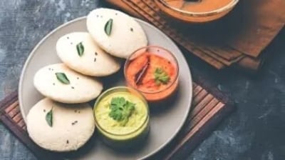 Rajma, Idli among Top 25 global dishes causing most damage to biodiversity: Study (Unsplash) Rajma, Idli among Top 25 global dishes causing most damage to biodiversity: Study (Unsplash)