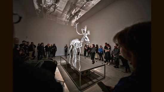 At the Kafkaesque exhibition, the life-sized, animatronic Stag In Silico by British artist Mat Collishaw slips, slides, and falls on its platform, in response to the intensity of abuse directed at selected individuals on X.