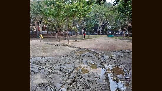 Sanjeev Kumar, general secretary, Federation of Noida Residents Welfare Associations, agreed the condition of parks is abysmal, even the basic cleaning work is irregular. (HT Photo)