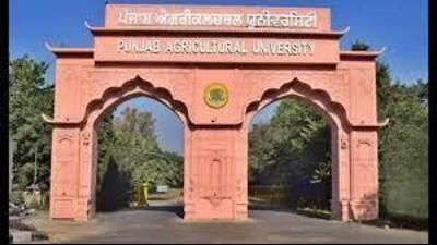 A five-day training course organised in Punjab Agriculture University, to educate farmers regarding pesticide-free production for safe, healthy and disease-free life, concluded on February 24, 2024. (HT File Photo)