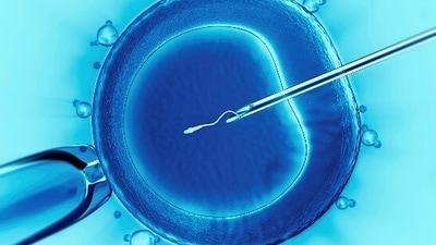 Last week, the Alabama Supreme Court in the United States of America ruled that frozen embryos can be considered children under state law (Wiki Commons) Last week, the Alabama Supreme Court in the United States of America ruled that frozen embryos can be considered children under state law (Wiki Commons)