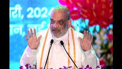 Union home minister Amit Shah piloted the bills. (ANI) Union home minister Amit Shah piloted the bills. (ANI)