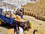 Early sowing in many regions and cool conducive weather have prompted the government to estimate a bumper harvest of the grain at 114 million tonne in 2024-25. (HT file)