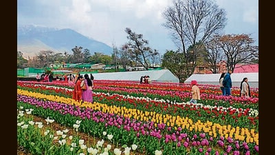 According to officials, the number of visitors has surpassed 65,000 so far (HT Photo) According to officials, the number of visitors has surpassed 65,000 so far (HT Photo)
