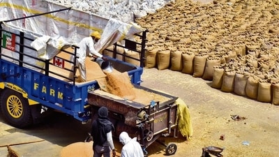 Early sowing in many regions and cool conducive weather have prompted the government to estimate a bumper harvest of the grain at 114 million tonne in 2024-25. (HT file)