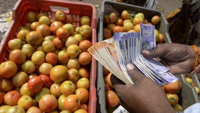 The survey aims at generating estimates of household Monthly Per Capita Consumption Expenditure (MPCE) and its distribution separately for the rural and urban sectors of the country (AFP) The survey aims at generating estimates of household Monthly Per Capita Consumption Expenditure (MPCE) and its distribution separately for the rural and urban sectors of the country (AFP)