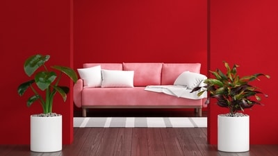 Bold colours and patterns can transform any space from ordinary to extraordinary. (Freepik) Bold colours and patterns can transform any space from ordinary to extraordinary. (Freepik)