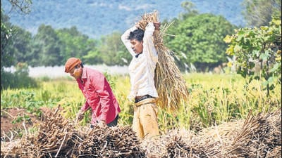 India is set to raise agriculture, among other key issues at the WTO’s four-day meet. (HT Archive)