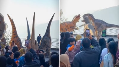 The image is taken from a video that shows ‘dinosaurs’ dancing to the Pakistani song Nach Punjaban. (TikTok/@gill7333) The image is taken from a video that shows ‘dinosaurs’ dancing to the Pakistani song Nach Punjaban. (TikTok/@gill7333)