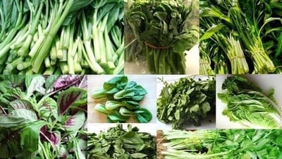 Leafy greens and cardiovascular function: Reduced risk of heart diseases, other benefits of plant-based diet (Photo by Pinterest) Leafy greens and cardiovascular function: Reduced risk of heart diseases, other benefits of plant-based diet (Photo by Pinterest)