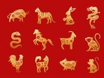 Chinese zodiac signs: Find out what's in store this week for you