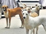 World Spay Day is celebrated every year on February 27. Here are benefits of spaying or neutering your furry friend
