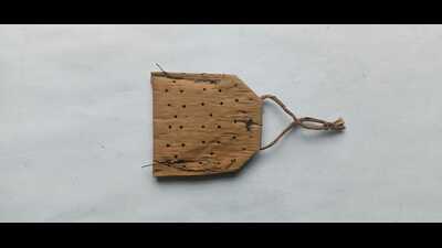 The tea bags created by SHUATS scientists using banana leaves (HT Photo) The tea bags created by SHUATS scientists using banana leaves (HT Photo)