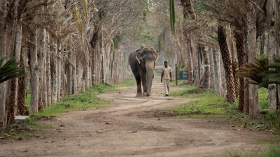 Ambani is also leading Reliance's ambitious renewable energy business in Jamnagar and, in that capacity, is responsible for guiding Reliance's journey to become a Net Carbon Zero company by 2035.&nbsp; (HT Photo/Raju Shinde)